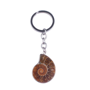 Natürliche Stein Fossil Anhänger Pendel Key Chain Auto Anhänger Großhandel